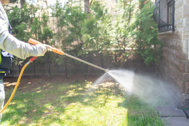 Emergency Pest Control in Lynbrook, NY